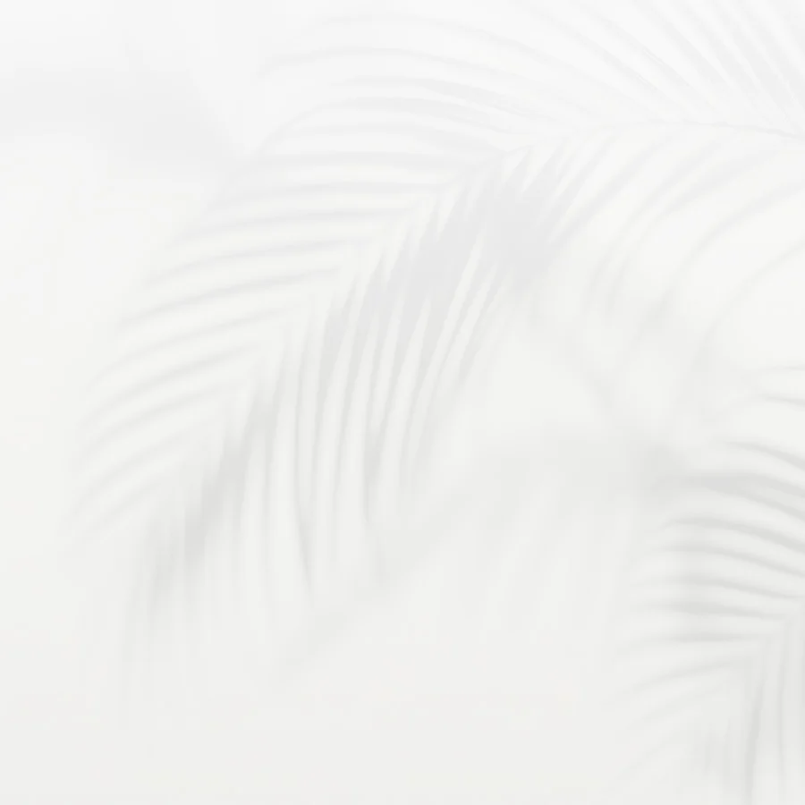consultation-content-background
