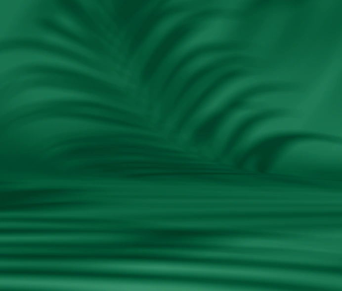 DARK_GREEN_SHADOW_BACKGROUND copy