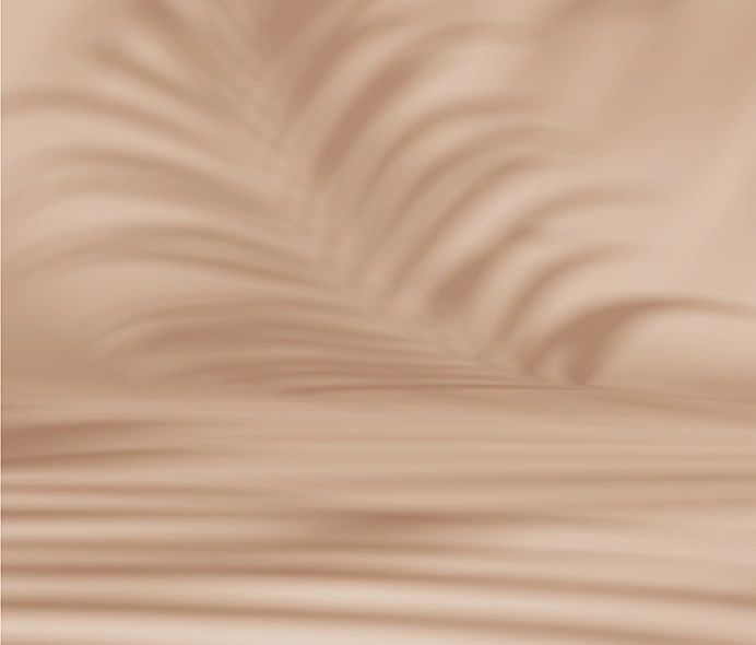 NAD_BROWN_BACKGROUND_SHADOW copy