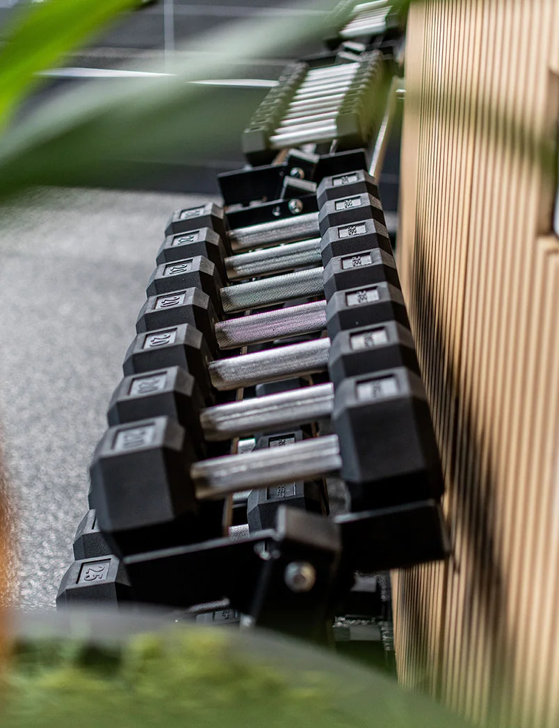 Strength-training equipment at Eden Health Clubs